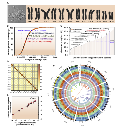 1658916761614491.png 2.png